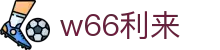 w66国际·利来 (中国)最给力的老牌